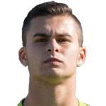 M.维尔科夫斯基